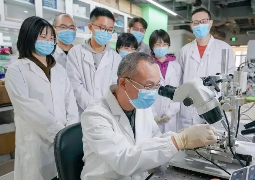 事关抑郁症治疗，重大发现！